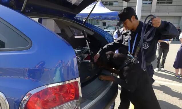 大型活動還有警犬檢查